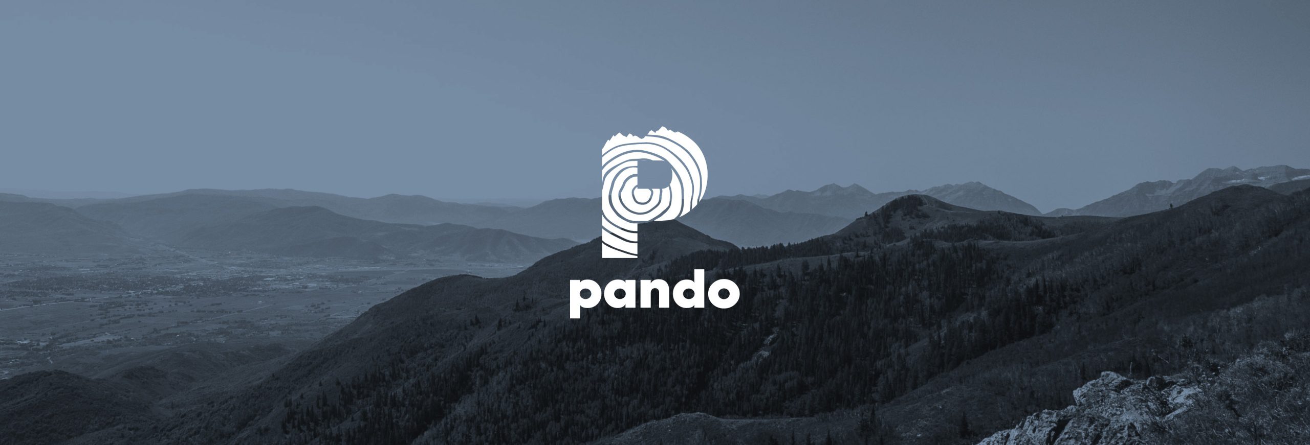 Pando-Banner-01